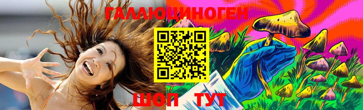Георгиевск  Галлюциногенные грибы Psilocybine cubensis  наркотики  Вход с VPN 